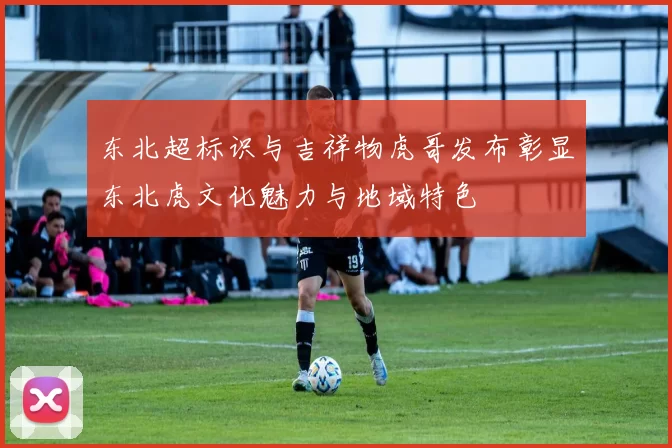 东北超标识与吉祥物虎哥发布彰显东北虎文化魅力与地域特色