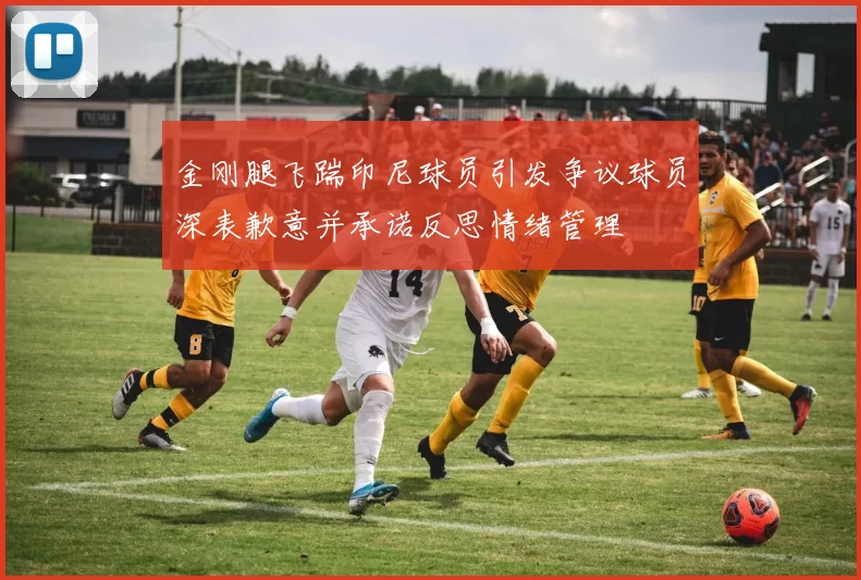 金刚腿飞踹印尼球员引发争议球员深表歉意并承诺反思情绪管理