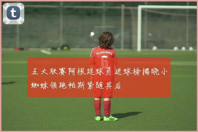 五大联赛阿根廷球员进球榜揭晓小蜘蛛领跑帕斯紧随其后