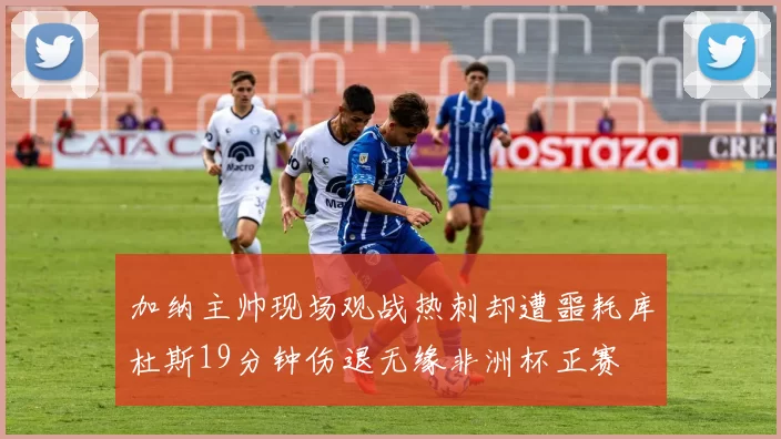 加纳主帅现场观战热刺却遭噩耗库杜斯19分钟伤退无缘非洲杯正赛